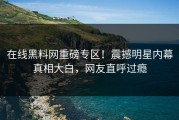 在线黑料网重磅专区！震撼明星内幕真相大白，网友直呼过瘾
