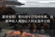 震惊全网！黑料网今日视频惊爆，独家神秘人真相让人网友直呼过瘾