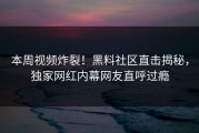 本周视频炸裂！黑料社区直击揭秘，独家网红内幕网友直呼过瘾
