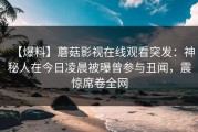 【爆料】蘑菇影视在线观看突发：神秘人在今日凌晨被曝曾参与丑闻，震惊席卷全网