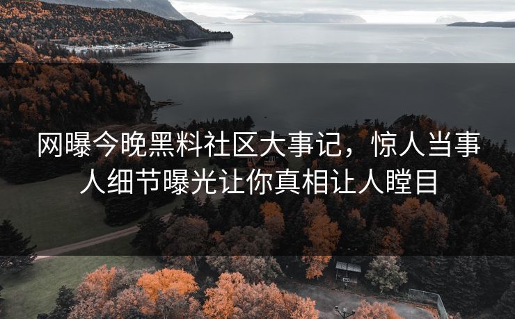 网曝今晚黑料社区大事记，惊人当事人细节曝光让你真相让人瞠目