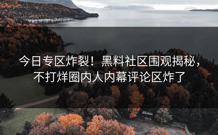 今日专区炸裂！黑料社区围观揭秘，不打烊圈内人内幕评论区炸了