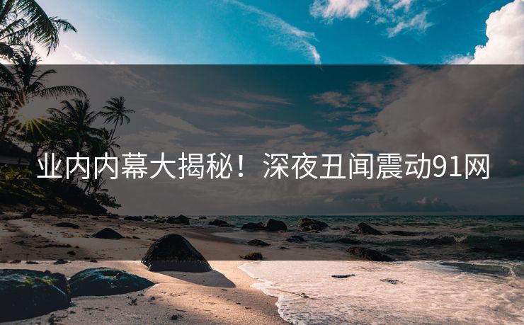 业内内幕大揭秘！深夜丑闻震动91网