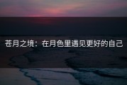 苍月之境：在月色里遇见更好的自己