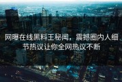 网曝在线黑料王秘闻，震撼圈内人细节热议让你全网热议不断