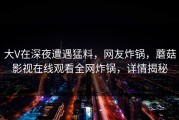大V在深夜遭遇猛料，网友炸锅，蘑菇影视在线观看全网炸锅，详情揭秘
