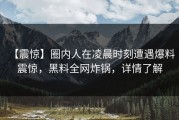 【震惊】圈内人在凌晨时刻遭遇爆料 震惊，黑料全网炸锅，详情了解