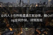 业内人士在昨晚遭遇花絮动情，糖心vlog全网炸锅，详情围观
