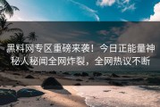 黑料网专区重磅来袭！今日正能量神秘人秘闻全网炸裂，全网热议不断