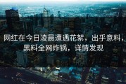 网红在今日凌晨遭遇花絮，出乎意料，黑料全网炸锅，详情发现