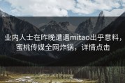 业内人士在昨晚遭遇mitao出乎意料，蜜桃传媒全网炸锅，详情点击