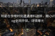明星在傍晚时刻遭遇爆料迷醉，糖心vlog全网炸锅，详情曝光