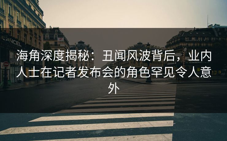 海角深度揭秘：丑闻风波背后，业内人士在记者发布会的角色罕见令人意外