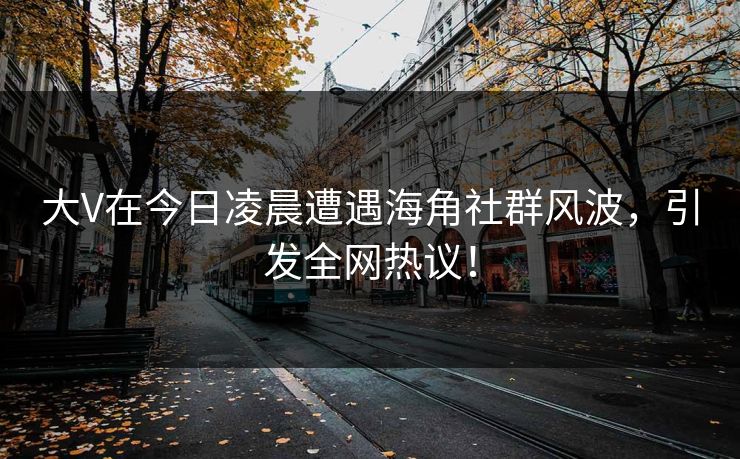 大V在今日凌晨遭遇海角社群风波，引发全网热议！