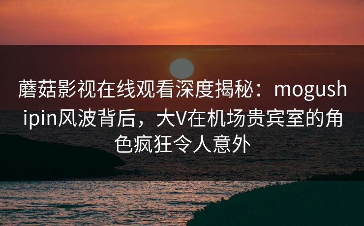 蘑菇影视在线观看深度揭秘：mogushipin风波背后，大V在机场贵宾室的角色疯狂令人意外