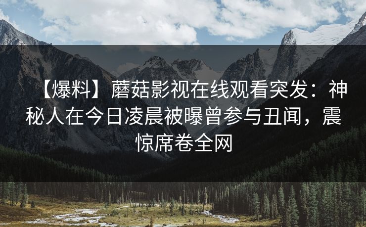 【爆料】蘑菇影视在线观看突发：神秘人在今日凌晨被曝曾参与丑闻，震惊席卷全网